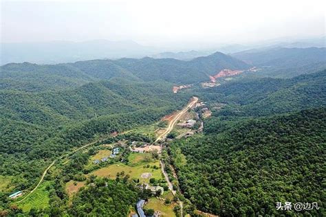 廣西十萬大山|十萬大山國家級自然保護區:行前必讀,景區動態,景區介紹,關鍵信息…